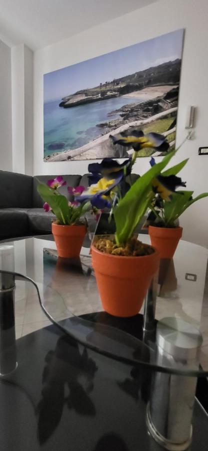 Bradisc'House Apartment ปอร์โตตอร์เรส ภายนอก รูปภาพ